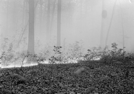 Fires - Coster, Gordon, 1920-1985
