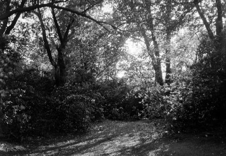 Jackson Park Scenes - Coster, Gordon, 1920-1985
