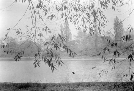 Jackson Park - Coster, Gordon, 1920-1985
