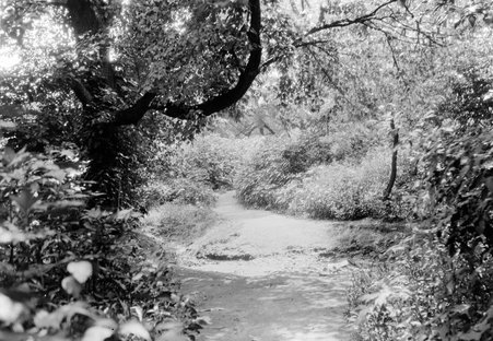 Jackson Park - Coster, Gordon, 1920-1985