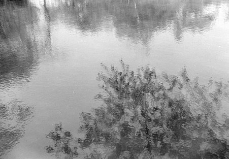 Reflections in Lincoln Park - Coster, Gordon, 1920-1985