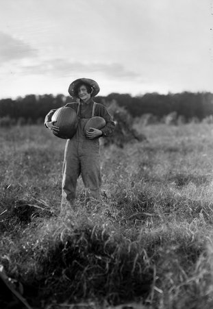 Zue with pumpkins - Coster, Gordon, 1920-1985