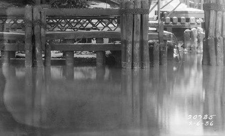 Outfalls along river - Metropolitan Sanitary District of Greater Chicago