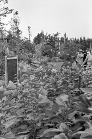 International Friendship Garden at Century of Progress - Cook, O. L.