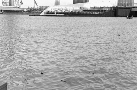 Lagoon at Century of Progress - Cook, O. L.