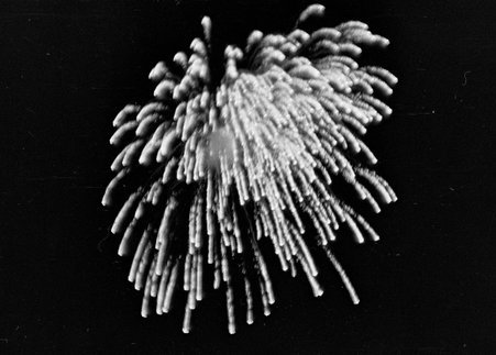 Fourth of July fireworks in Evanston - Cook, O. L.