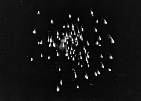 Fourth of July fireworks in Evanston - Cook, O. L.