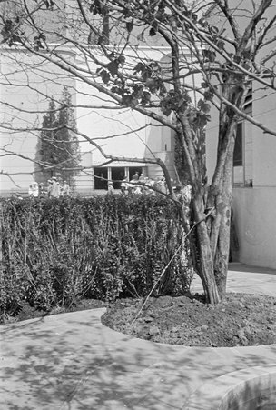 Communications Hall at Century of Progress - Cook, O. L.