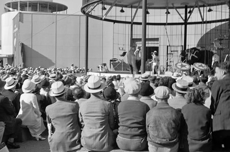 Standard Oil at Century of Progress - Cook, O. L.