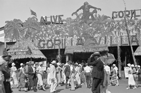 Gorilla Villa at Century of Progress - Cook, O. L.