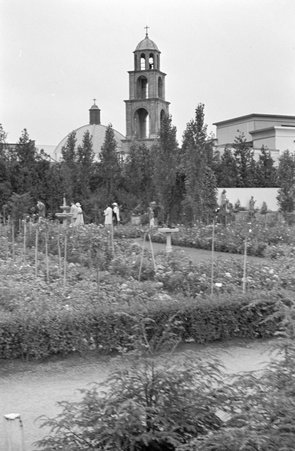 Garden at Century of Progress - Cook, O. L.