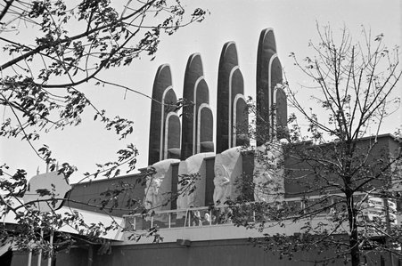 Social Science Hall at Century of Progress - Cook, O. L.