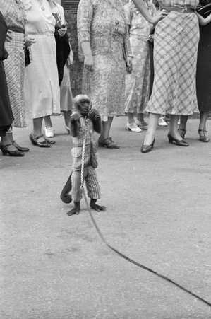 Monkey on a leash at Century of Progress - Cook, O. L.