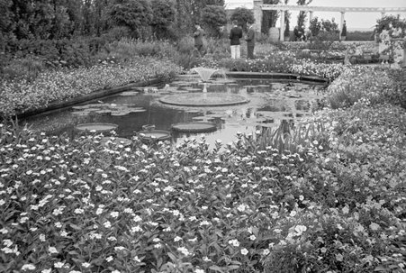 Garden at Century of Progress - Cook, O. L.