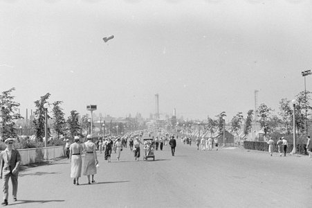 The Midway at Century of Progress - Cook, O. L.