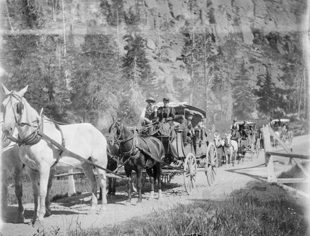 Yellowstone Park