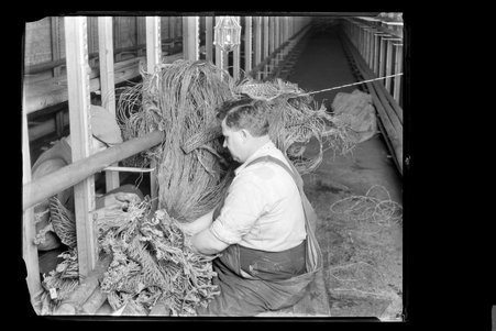 Occupations, May 19, 1922 - Chicago Telephone Company