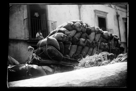 Europe - McCutcheon, John T., 1870-1949