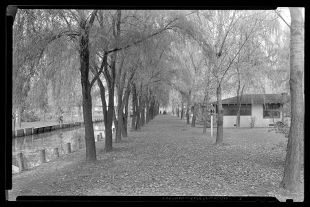 Long Lake, Illinois, 1929-1940 - Childs, Charles R., 1875-1960