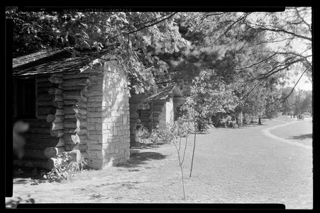 White Pines Forest State Park, Illinois, 1937, 1939, 1945, 1949 - Childs, Charles R., 1875-1960