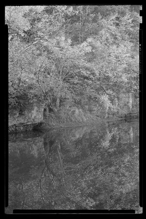 White Pines Forest State Park, Illinois, 1949, 1951, 1953 - Childs, Charles R., 1875-1960