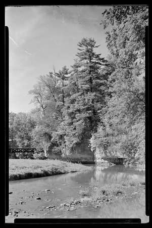 White Pines Forest State Park, Illinois, 1949, 1951, 1953 - Childs, Charles R., 1875-1960