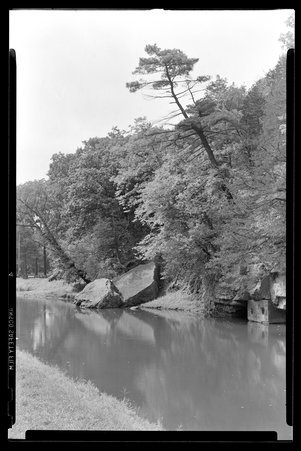 White Pines Forest State Park, Illinois, 1949, 1951, 1953 - Childs, Charles R., 1875-1960