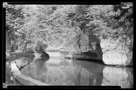 White Pines Forest State Park, Illinois, 1949, 1951, 1953 - Childs, Charles R., 1875-1960