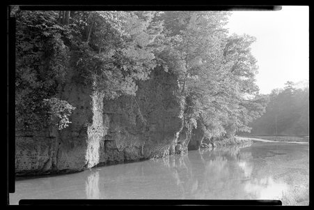 White Pines Forest State Park, Illinois, 1949, 1951, 1953 - Childs, Charles R., 1875-1960