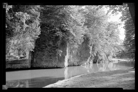 White Pines Forest State Park, Illinois, 1949, 1951, 1953 - Childs, Charles R., 1875-1960