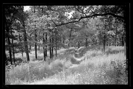 Fox Lake, Illinois, 1930, 1931, 1934-1940 - Childs, Charles R., 1875-1960
