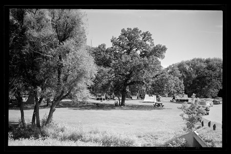 White Pines Forest State Park, Illinois, 1949, 1951, 1953 - Childs, Charles R., 1875-1960