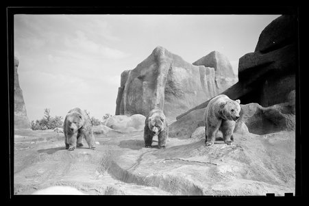 Brookfield, Illinois, 1940 - Childs, Charles R., 1875-1960