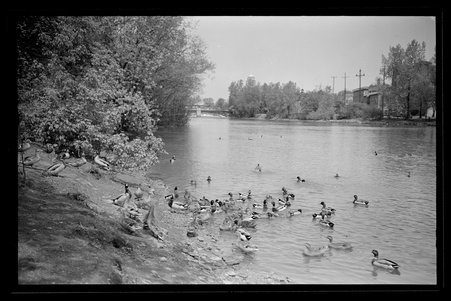 St. Charles, Illinois, 1930, 1937-1938, 1940, 1944, 1947, 1951 - Childs, Charles R., 1875-1960