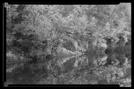 White Pines Forest State Park, Illinois, 1949, 1951, 1953 - Childs, Charles R., 1875-1960
