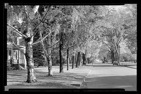 Mendota, Illinois, 1945-1946 - Childs, Charles R., 1875-1960