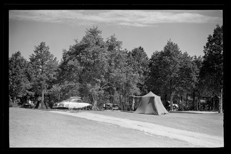 White Pines Forest State Park, Illinois, 1949, 1951, 1953 - Childs, Charles R., 1875-1960