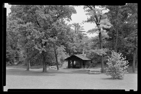 White Pines Forest State Park, Illinois, 1937, 1939, 1945, 1949 - Childs, Charles R., 1875-1960