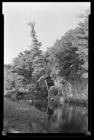 White Pines Forest State Park, Illinois, 1937, 1939, 1945, 1949 - Childs, Charles R., 1875-1960