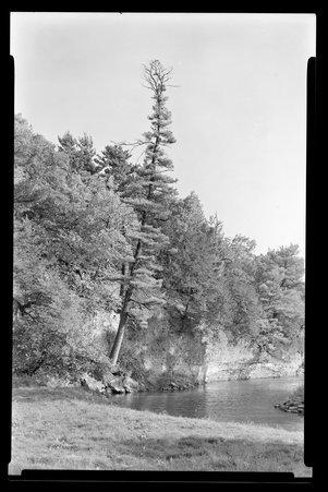 White Pines Forest State Park, Illinois, 1937, 1939, 1945, 1949 - Childs, Charles R., 1875-1960