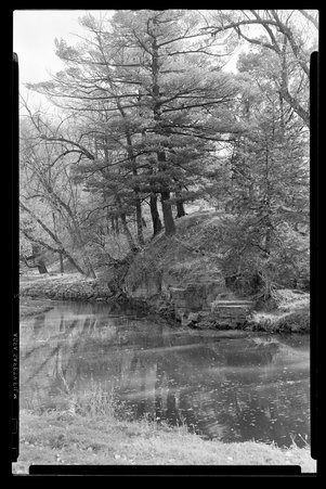 White Pines Forest State Park, Illinois, 1937, 1939, 1945, 1949 - Childs, Charles R., 1875-1960