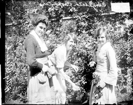 Miss Elizabeth Carpenter, Polly Carpenter, and Miss Betty Quick standing near fence - Chicago Daily News, Inc.