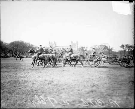 Reserve Officers Training Corps cadets riding horses harnessed to wagons, on a field at the University of Chicago - Chicago Daily News, Inc.