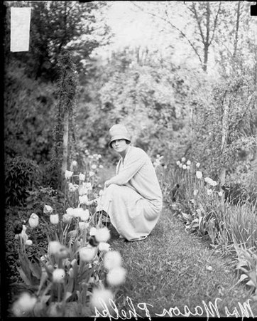 Mrs. Mason Phelps facing to the left and looking toward the camera, kneeling next to tulips in a garden at a house - Chicago Daily News, Inc.