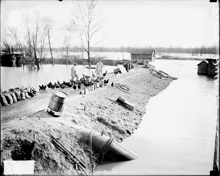 Man and woman with ducks on embankment by flood in Quincy, Illinois - Chicago Daily News, Inc.