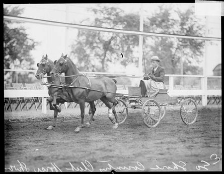 Man riding in cart at horse show at South Shore Country Club - Chicago Daily News, Inc.