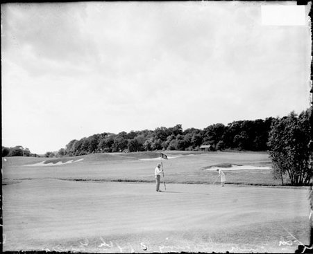 Woman putting a golf ball on a green on the golf course at Butterfield Country Club - Chicago Daily News, Inc.