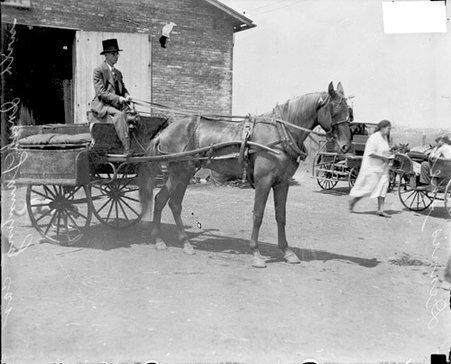 Dennis Shea with Irish jaunting cart - Chicago Daily News, Inc.