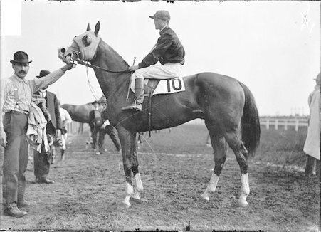 Racehorse, McChesney, with mounted jockey, standing in a racetrack paddock, handler holding its bridle - Chicago Daily News, Inc.