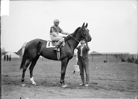 Racehorse, Tayon, with jockey mounted and handler holding its reins, standing in paddock - Chicago Daily News, Inc.